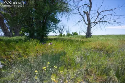 23655 E Garrett Road, Calhan, CO 80808 - Photo 11