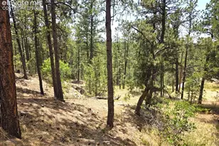 4465 Leprechaun Ln, Colorado Springs, CO 80908 - Photo 41