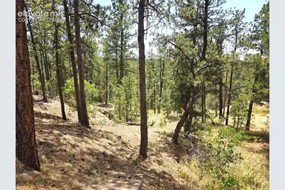4465 Leprechaun Lane, Colorado Springs, CO 80908 - Photo 41