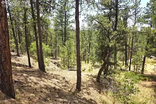 4465 Leprechaun Ln, Colorado Springs, CO 80908 - Photo 41
