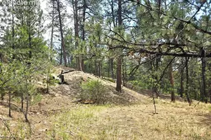 4465 Leprechaun Ln, Colorado Springs, CO 80908 - Photo 39