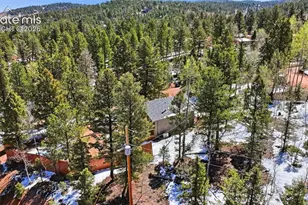 747 Trout Haven Rd, Florissant, CO 80816 - Photo 9