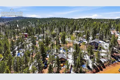 747 Trout Haven Road, Florissant, CO 80816 - Photo 11