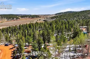 747 Trout Haven Rd, Florissant, CO 80816 - Photo 13