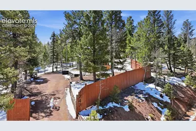 747 Trout Haven Road, Florissant, CO 80816 - Photo 21