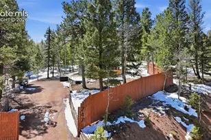 747 Trout Haven Rd, Florissant, CO 80816 - Photo 21