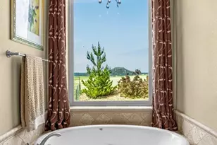 11784 Spruce Mountain Rd, Larkspur, CO 80118 - Photo 27