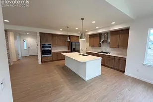 16223 Basset Mill Way, Monument, CO 80132 - Photo 3