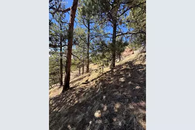 288 Troy Drive, Cripple Creek, CO 80813 - Photo 5
