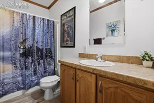 204 Crooked Creek Rd, Fairplay, CO 80440 - Photo 19