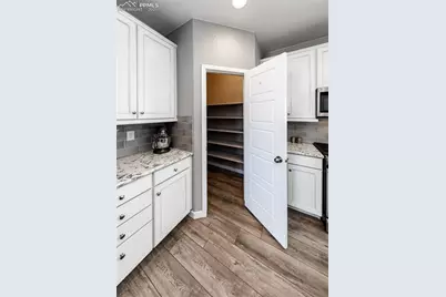 1909 Medici Lane, Colorado Springs, CO 80921 - Photo 23
