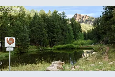 19 Ranch Road, Sedalia, CO 80135 - Photo 7