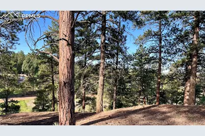 19 Ranch Road, Sedalia, CO 80135 - Photo 5