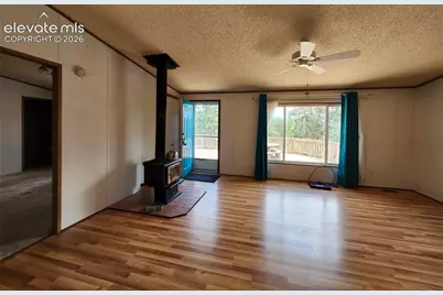 400 Pikes Peak Lane, Florissant, CO 80816 - Photo 5