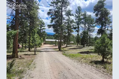 400 Pikes Peak Lane, Florissant, CO 80816 - Photo 3