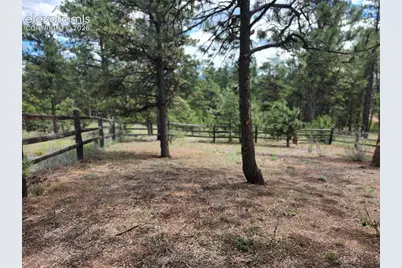 400 Pikes Peak Lane, Florissant, CO 80816 - Photo 23
