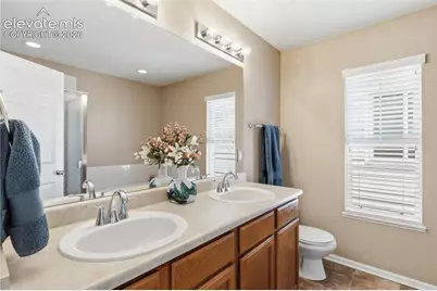 7003 Harrier Drive, Colorado Springs, CO 80922 - Photo 21