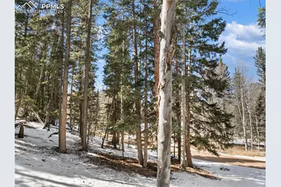 358 Pawutsy Road, Florissant, CO 80816 - Photo 13
