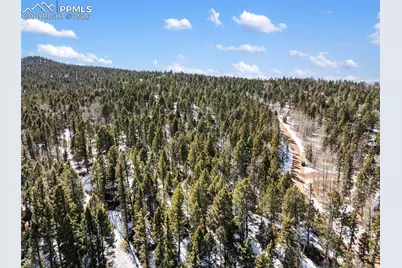 358 Pawutsy Road, Florissant, CO 80816 - Photo 19