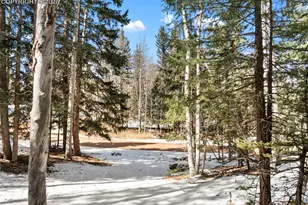 358 Pawutsy Rd, Florissant, CO 80816 - Photo 1