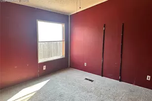 103 Mojave Way, Fountain, CO 80817 - Photo 17