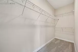 1089 Rumbling Sky Pl, Castle Rock, CO 80108 - Photo 35