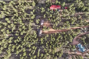 46 Kingston Cir, Florissant, CO 80816 - Photo 47