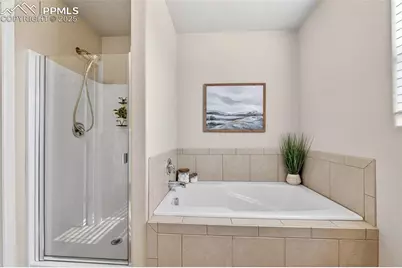 7913 Dry Willow Way, Colorado Springs, CO 80908 - Photo 21