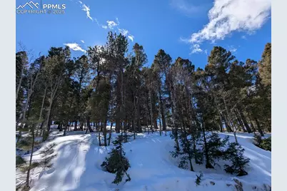 924 Will Scarlet Drive, Divide, CO 80814 - Photo 9