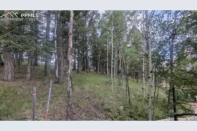 924 Will Scarlet Drive, Divide, CO 80814 - Photo 7