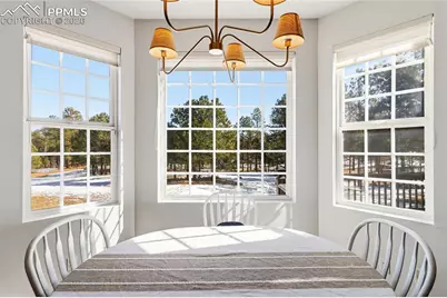 17521 Abert Ridge View, Colorado Springs, CO 80908 - Photo 19