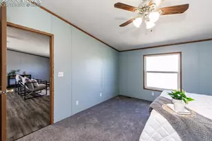 20625 El Nino Pt, Fountain, CO 80817 - Photo 21
