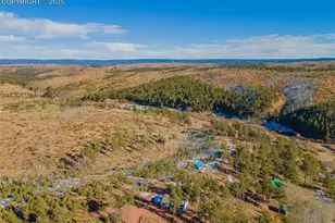 100 Wolverine Dr, Florissant, CO 80816 - Photo 25