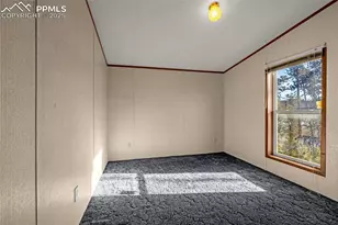 100 Wolverine Dr, Florissant, CO 80816 - Photo 17