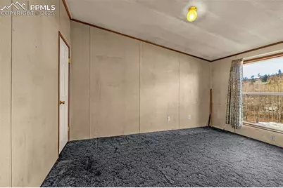 100 Wolverine Drive, Florissant, CO 80816 - Photo 19