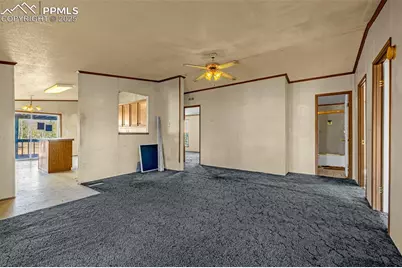 100 Wolverine Drive, Florissant, CO 80816 - Photo 7