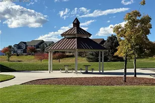 8728 Eckberg Heights, Colorado Springs, CO 80924 - Photo 27