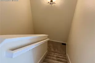8728 Eckberg Heights, Colorado Springs, CO 80924 - Photo 23