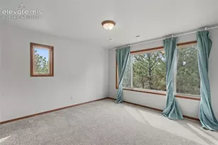 230 Blue Garter Way, Monument, CO 80132 - Photo 33