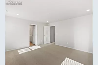 11420 Pikeminnow Place, Colorado Springs, CO 80925 - Photo 19