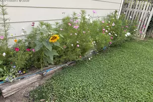 4127 Palmer Park Blvd, Colorado Springs, CO 80909 - Photo 3