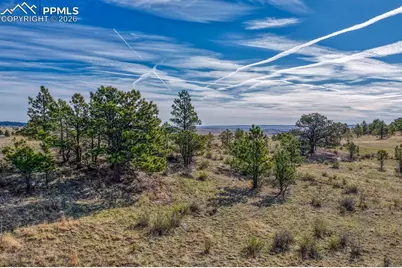 17265 Warriors Path Drive, Peyton, CO 80831 - Photo 7