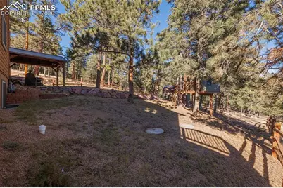 752 Cottonwood Lake Drive, Divide, CO 80814 - Photo 39