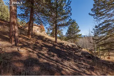752 Cottonwood Lake Drive, Divide, CO 80814 - Photo 43