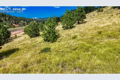 972 Anges Drive, Cripple Creek, CO 80813 - Photo 21