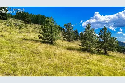 972 Anges Drive, Cripple Creek, CO 80813 - Photo 27