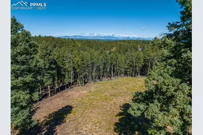 197 Parkview Drive, Woodland Park, CO 80863 - Photo 9