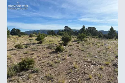 Chris Crossover Drive, Canon City, CO 81212 - Photo 7