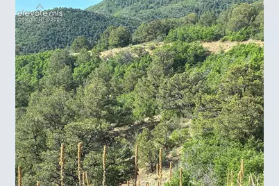 Chris Crossover Drive, Canon City, CO 81212 - Photo 13