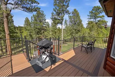 494 Lost Lake Drive, Divide, CO 80814 - Photo 11
